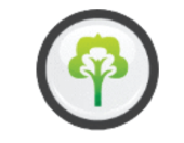 Environmental Wellness Icon